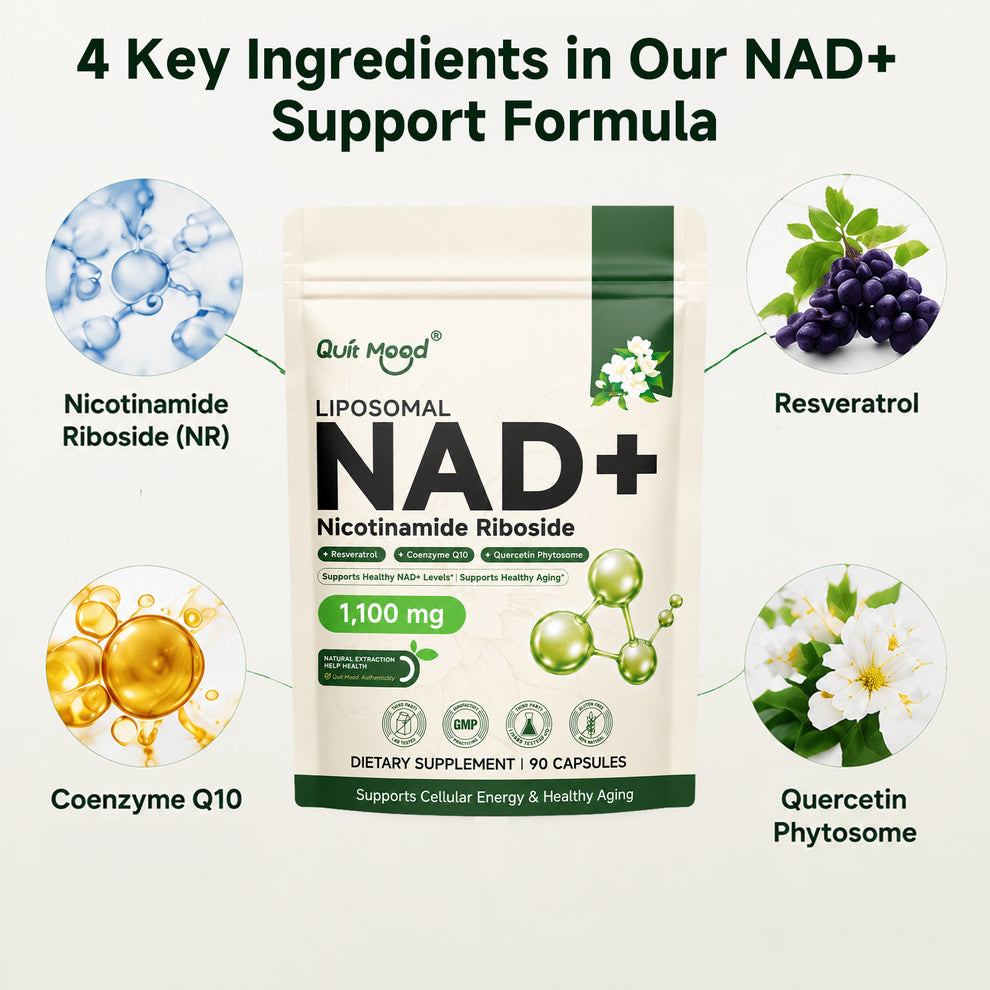 Liposomal NAD+ 1100 mg | 90 Capsules